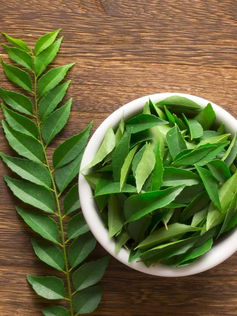 Curry Leaf — Aromatic-citrus, Slightly-nutty, Faintly-bitter