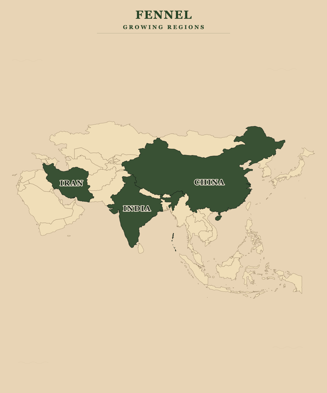 Fennel — growing regions