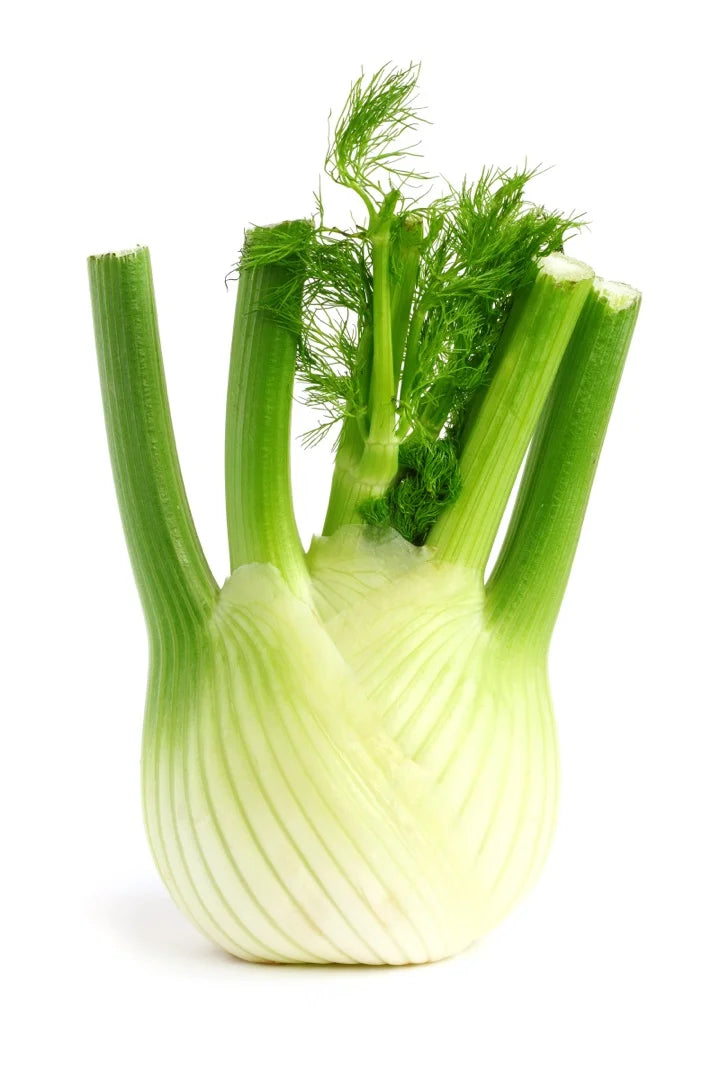 Fennel — Sweet-anise, Bright-aromatic, Slightly-fennel-bulb