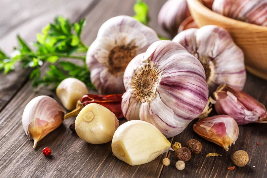 Garlic — Sulphur-pungent, Allium-warm, Sharp-savoury