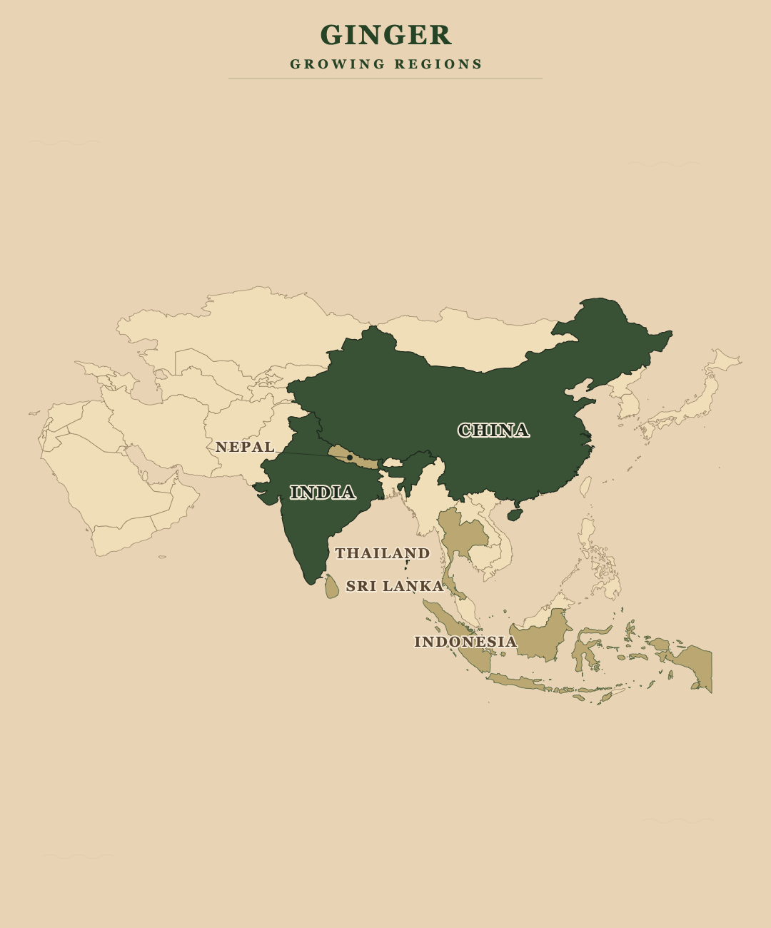 Ginger — growing regions