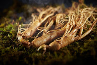 Ginseng