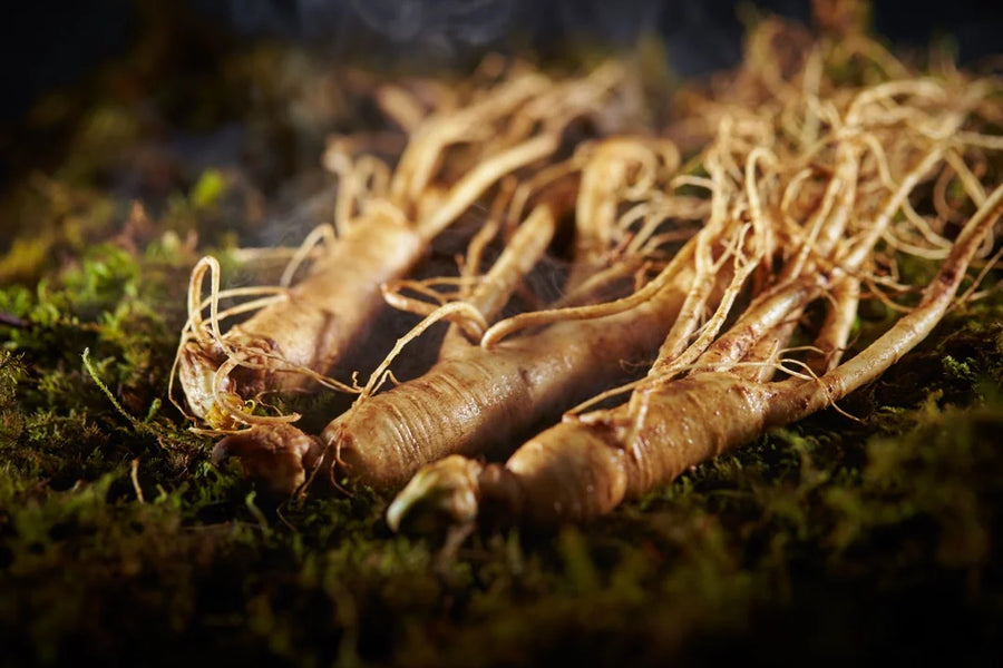 Ginseng — Earthy-root, Slightly-sweet, Bitter-tonic