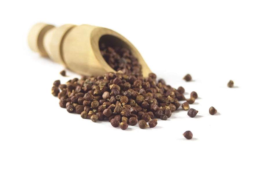 Grains of Paradise — Pepper-warm, Citrus-spiced, Cardamom-bright