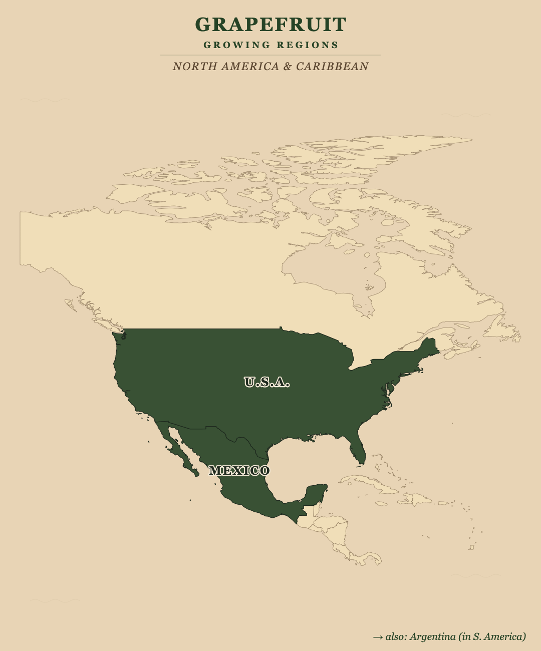 Grapefruit — growing regions