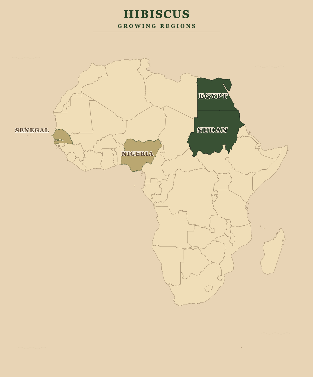 Hibiscus — growing regions