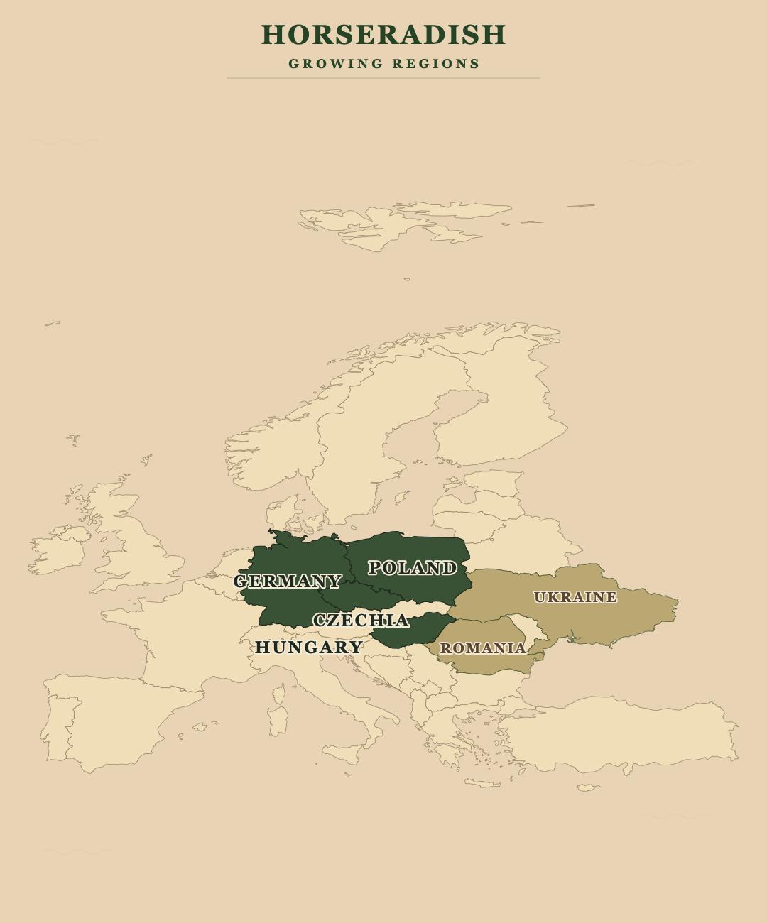 Horseradish — growing regions