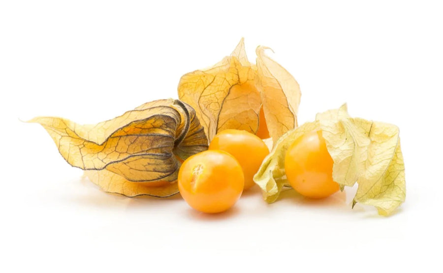 Inca Berry — Tropical-tart, Pineapple-sweet, Vanilla-bright