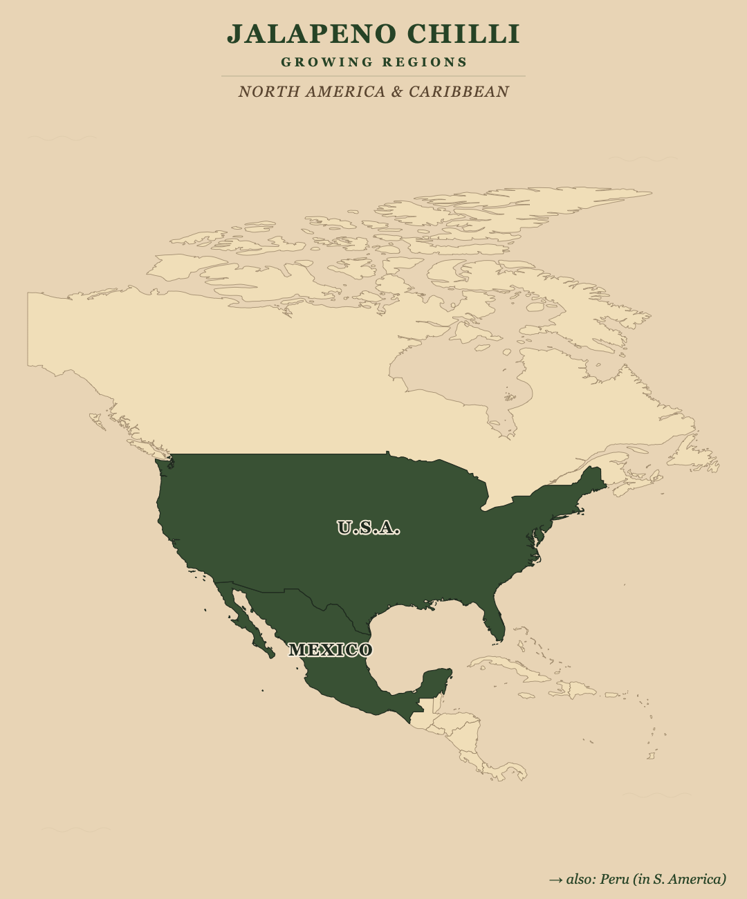 Jalapeno Chilli — growing regions