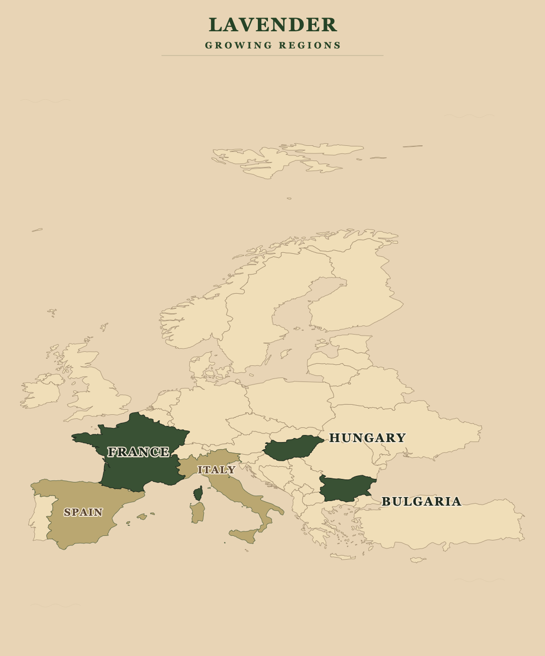 Lavender — growing regions
