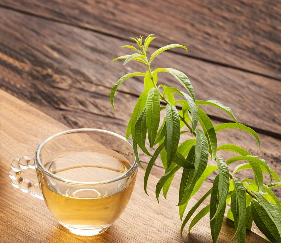 Lemon Verbena — Crystalline-lemon, Herb-bright, Sweet-clean