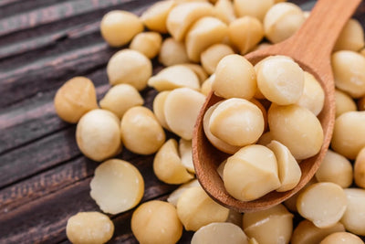 Macadamia