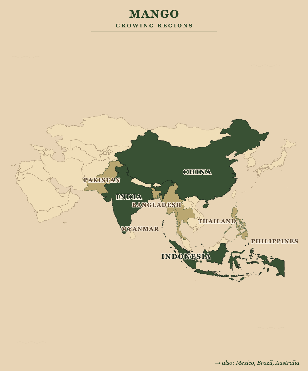 Mango — growing regions