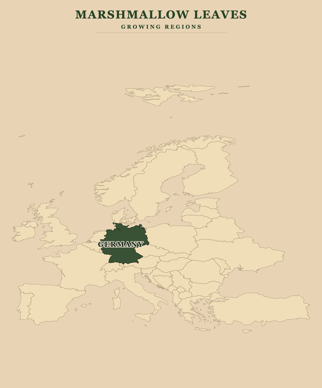 Marshmallow Leaves — growing regions