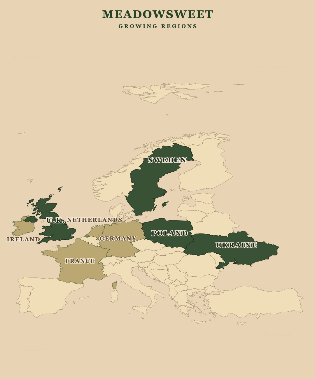Meadowsweet — growing regions