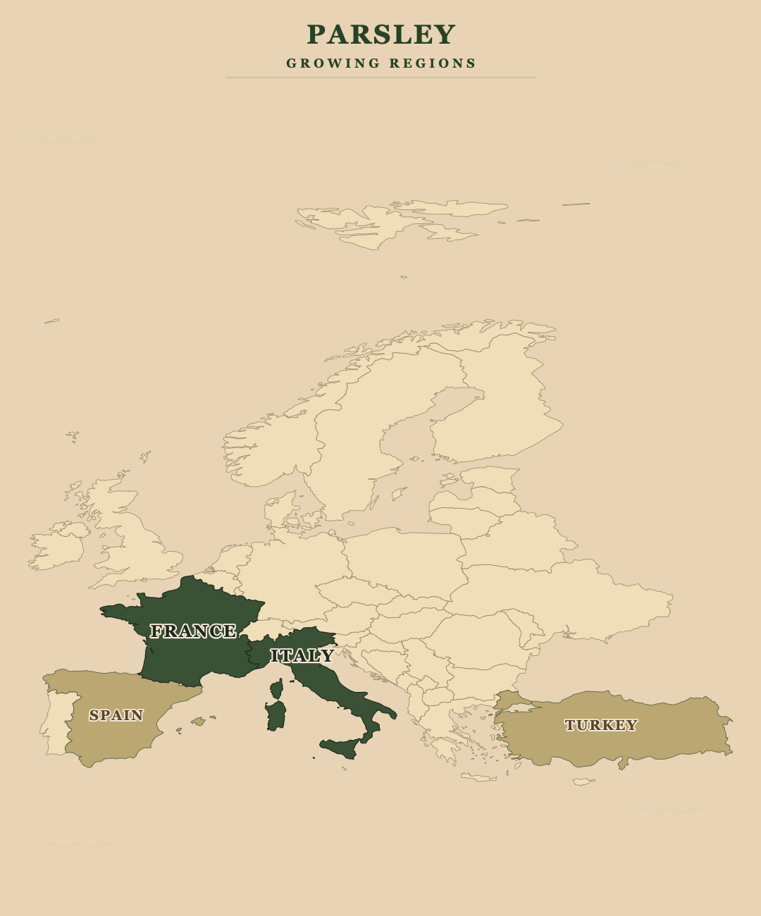 Parsley — growing regions
