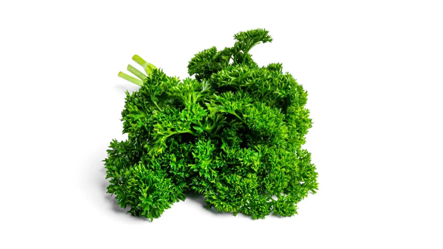 Parsley — Bright-green, Fresh-clean, Faintly-pepper