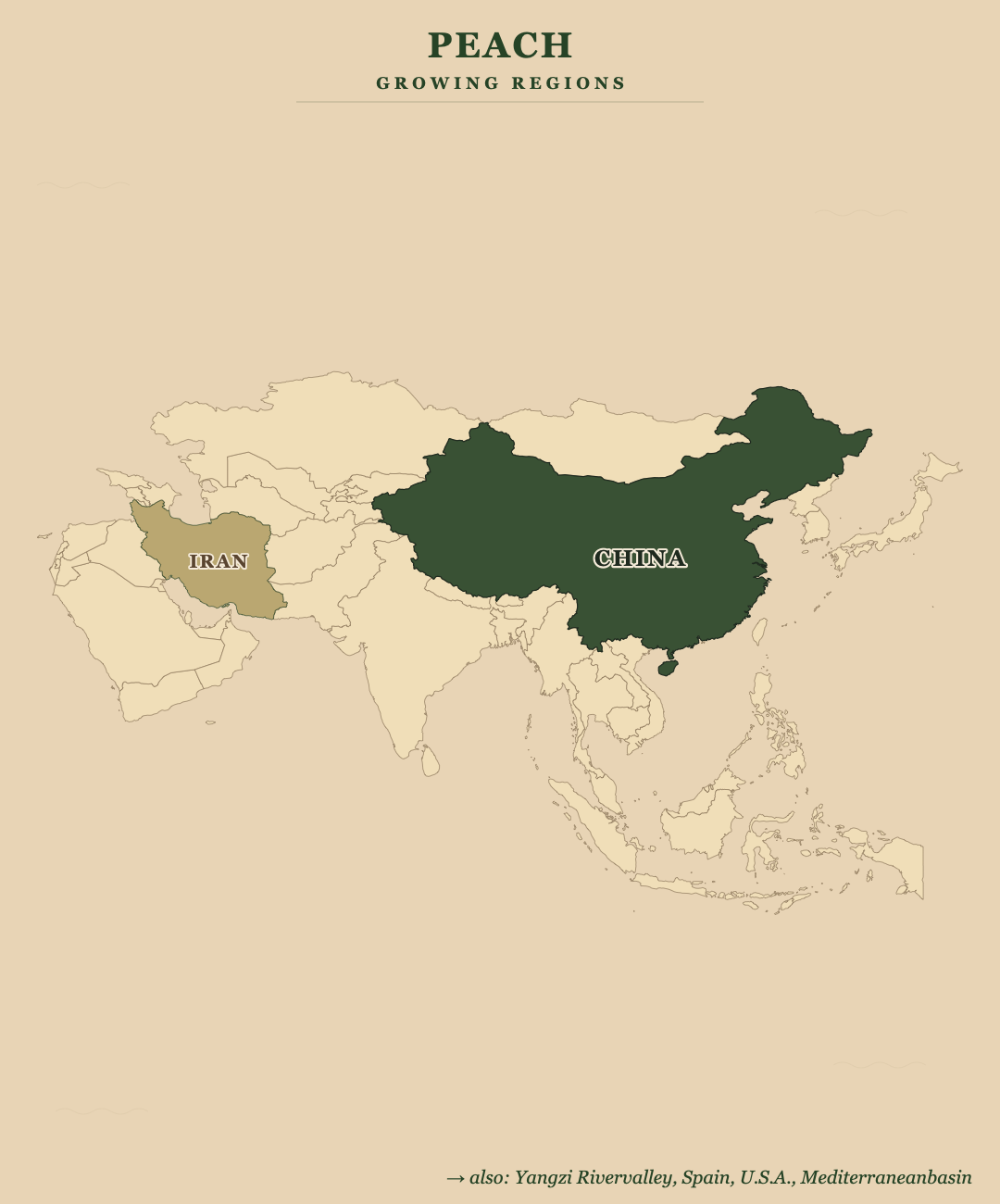 Peach — growing regions