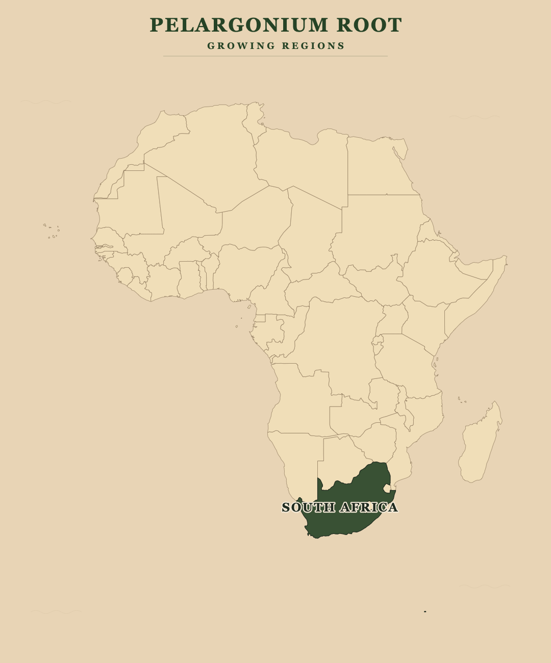 Pelargonium Root — growing regions
