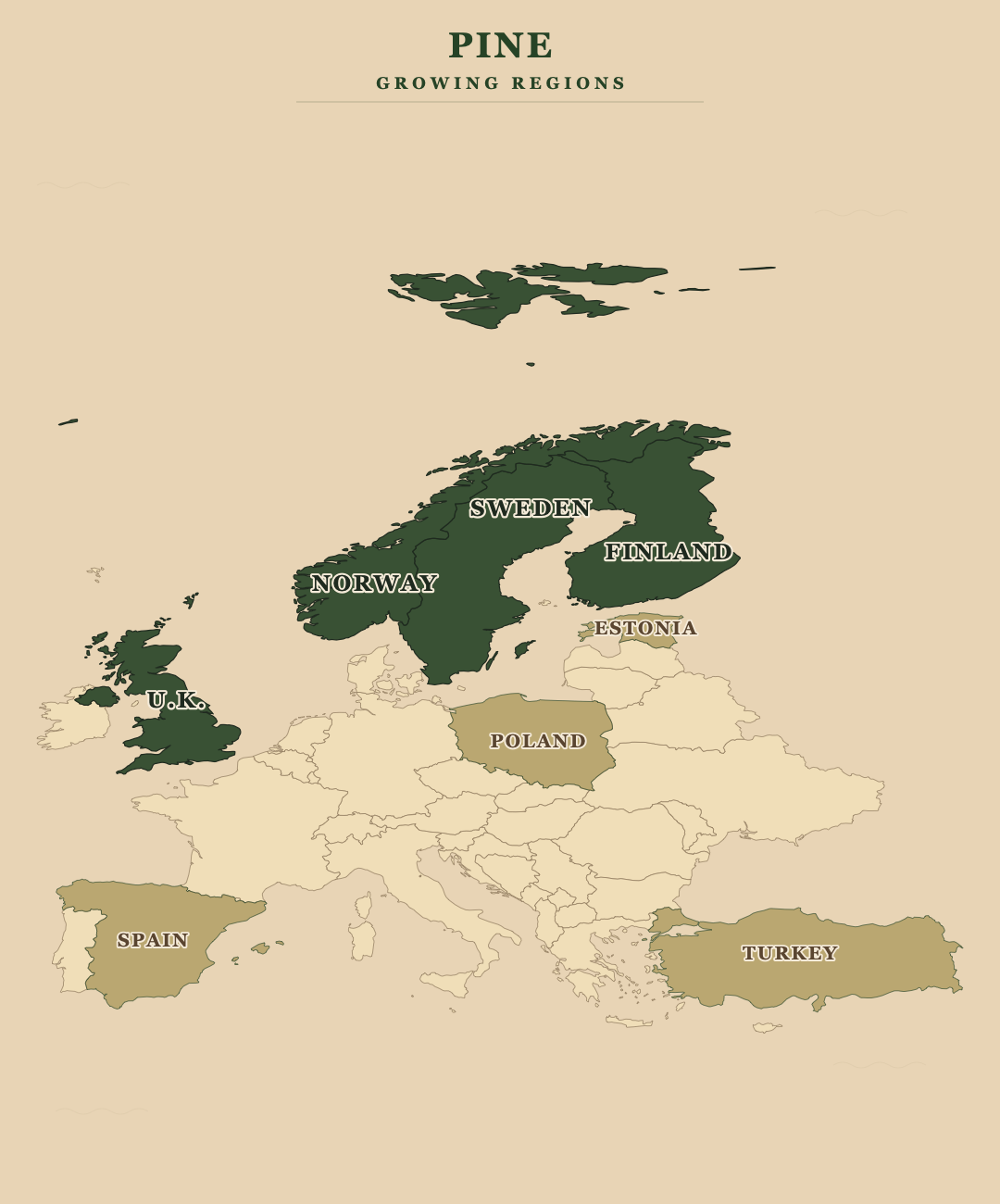 Pine — growing regions