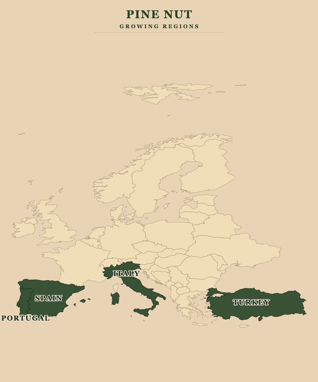 Pine Nut — growing regions