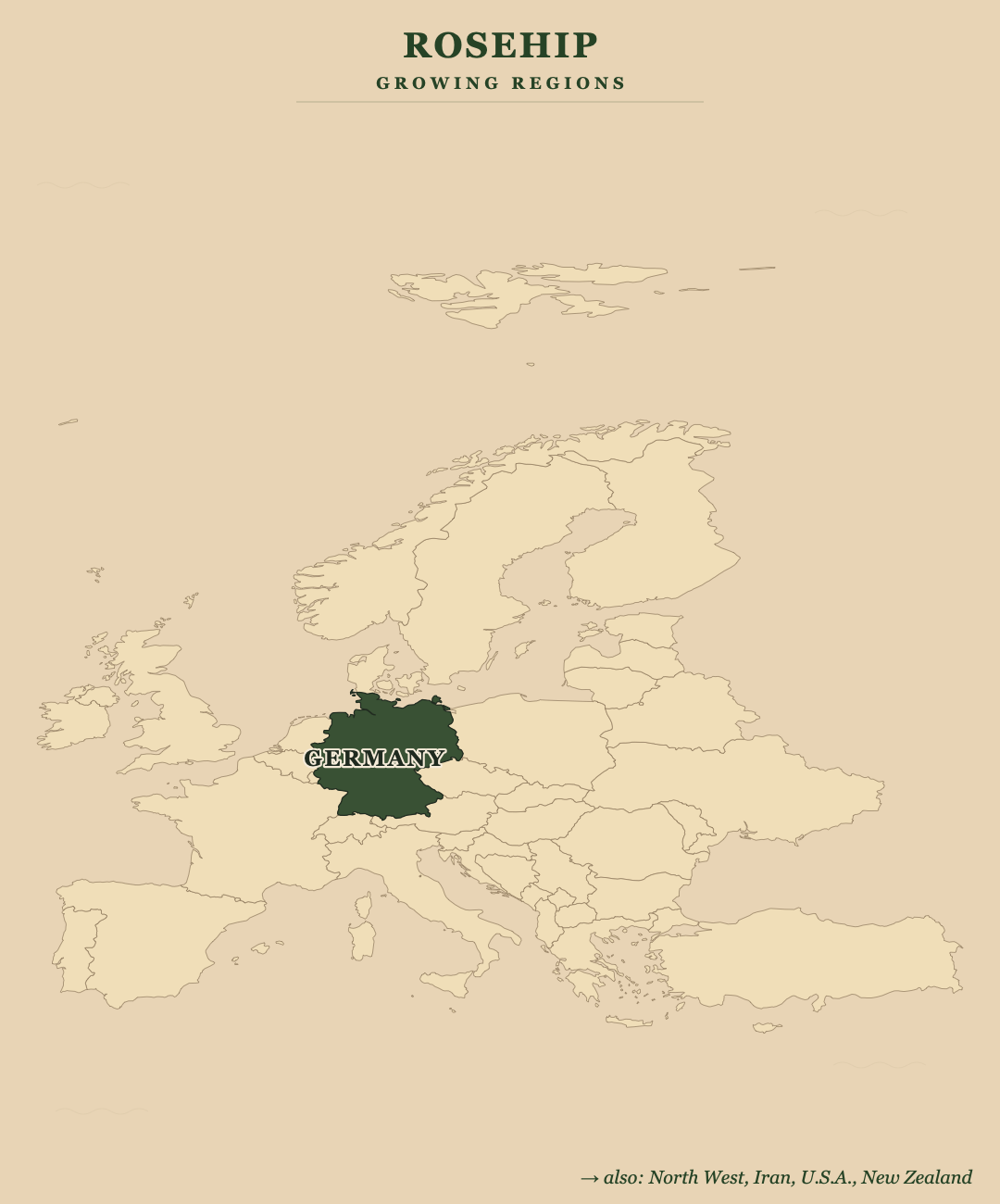 Rosehip — growing regions
