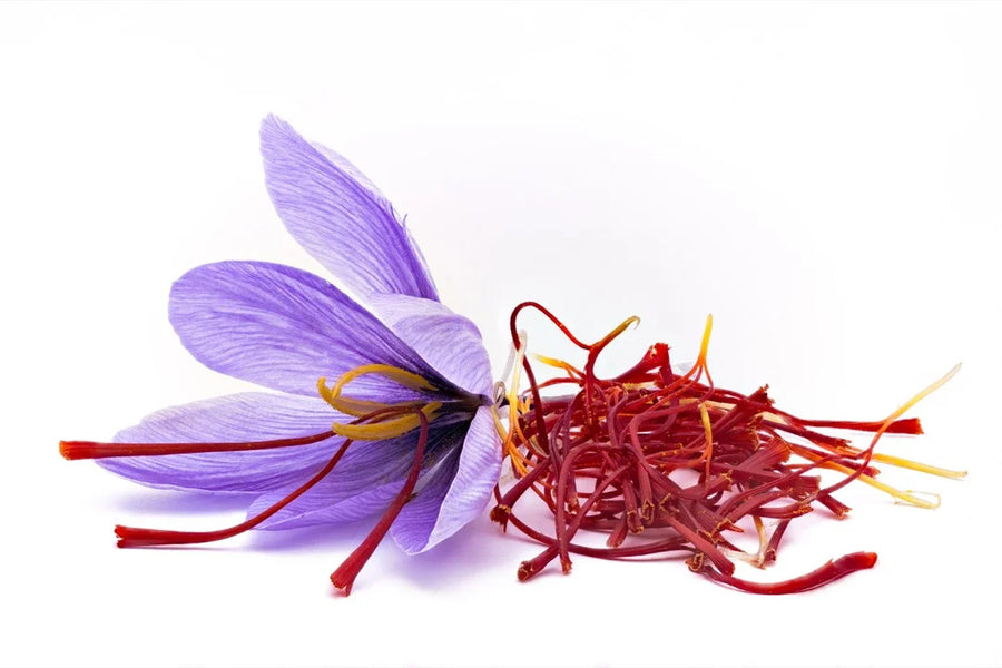 Saffron — Hay-honey, Bittersweet-floral, Iodine-warm