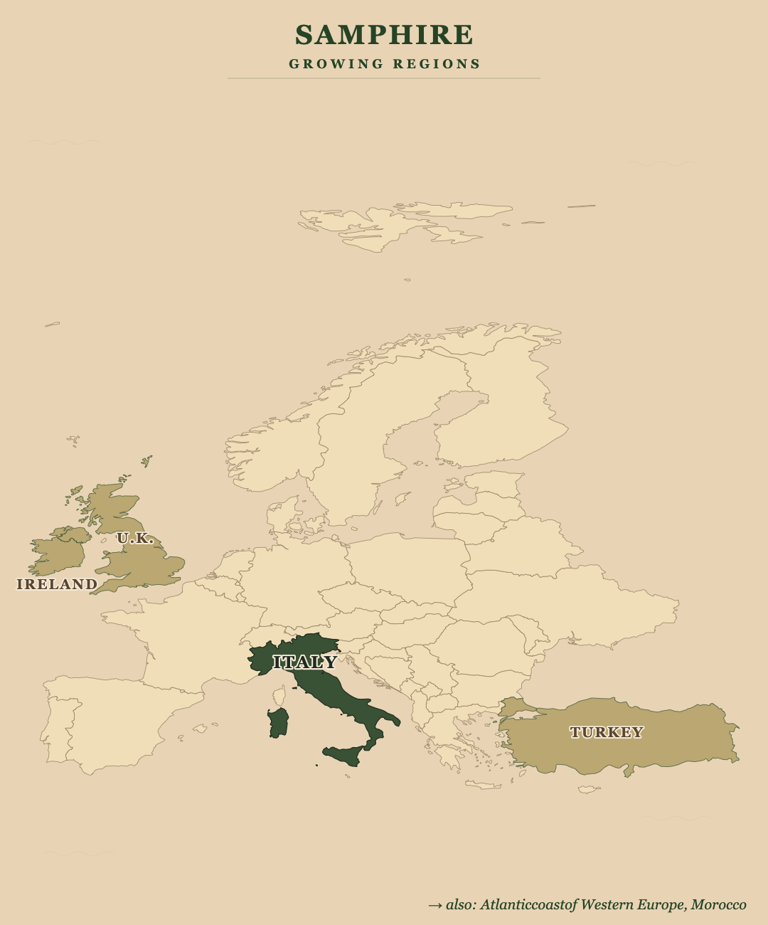 Samphire — growing regions
