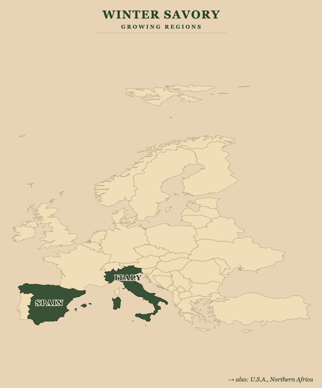 Winter Savory — growing regions
