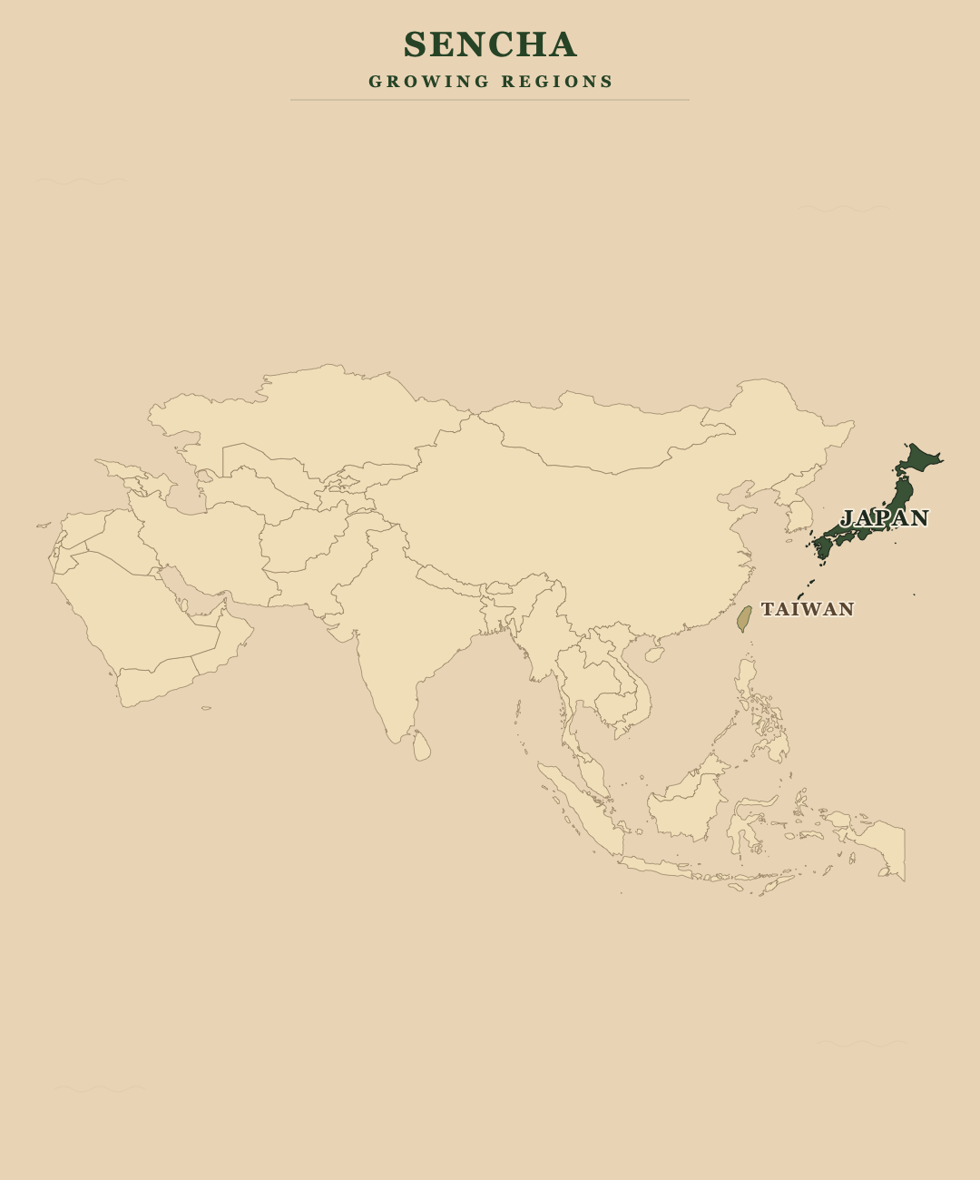 Sencha — growing regions