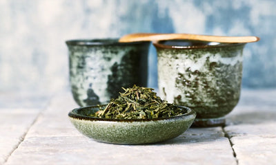 Sencha