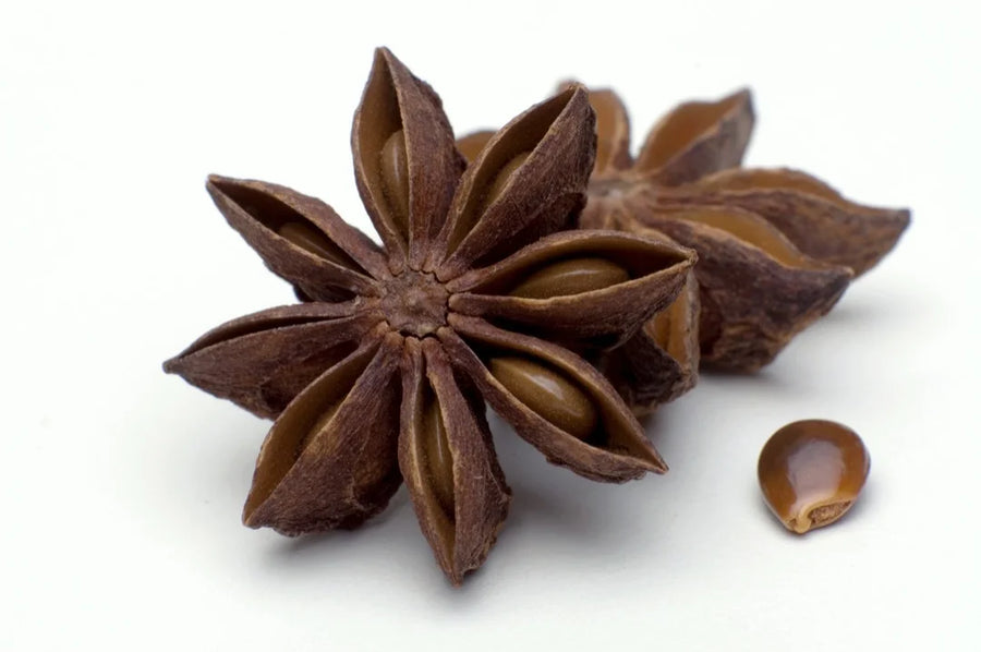 Star Anise — Sweet-anise, Warm-spice, Liquorice-deep