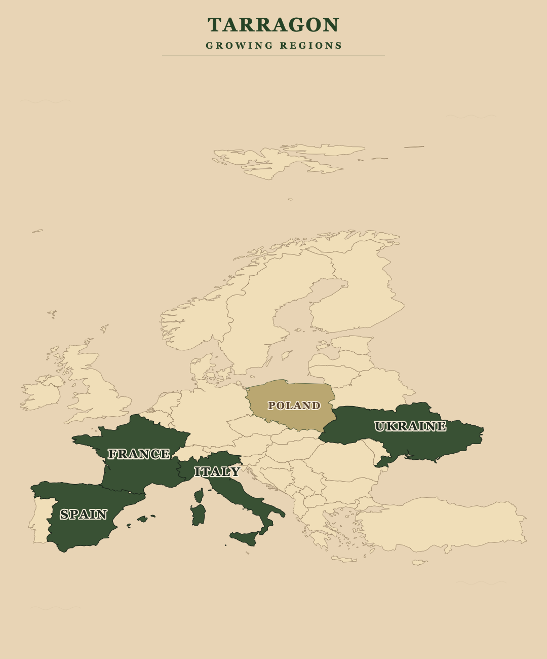 Tarragon — growing regions