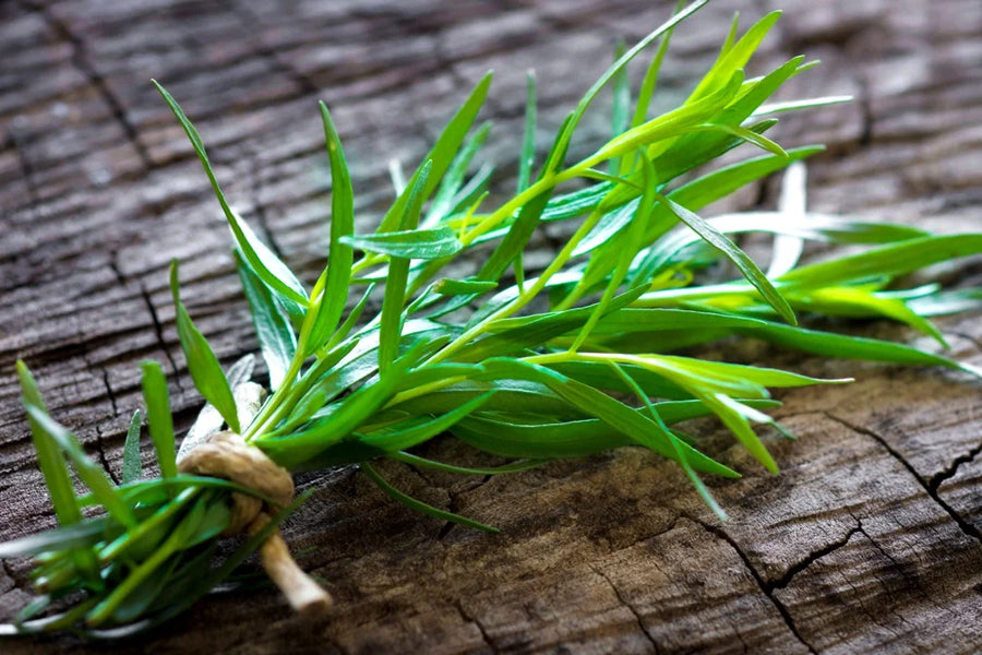 Tarragon — Anise-bright, Soft-licorice, Herbaceous-aromatic