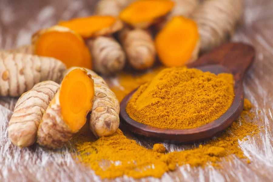 Turmeric — Earthy-warm, Gold-spice, Slightly-bitter