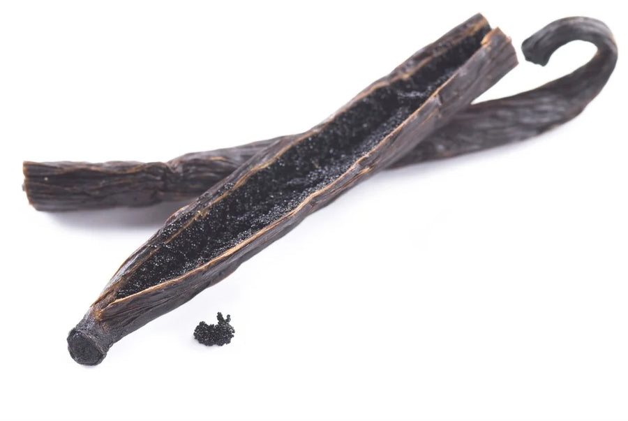 Vanilla — Sweet-creamy, Deep-vanilla, Caramel-warm