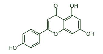 Skeletal diagram of Apigenin