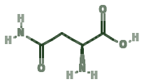 Skeletal diagram of Asparagine