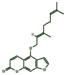 Skeletal diagram of Bergamottin