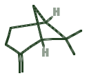 Skeletal diagram of Beta-Pinene