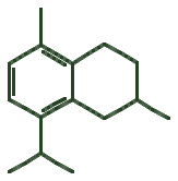 Skeletal diagram of Calamene