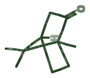 Skeletal diagram of Camphor