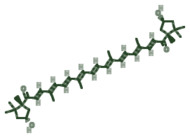 Skeletal diagram of Capsorubin