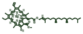 Skeletal diagram of Chlorophyll