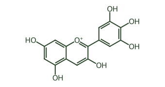 Skeletal diagram of Delphinidin