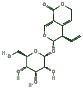 Skeletal diagram of Gentiopicrin (gentiopicroside)