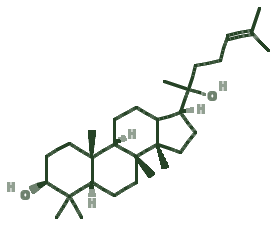 Skeletal diagram of Ginsenosides (Rb1, Rg1)
