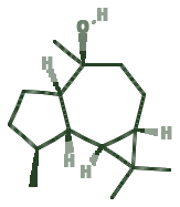 Skeletal diagram of Globulol