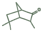 Skeletal diagram of Iso-pinocamphone