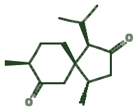 Skeletal diagram of Isoacorone